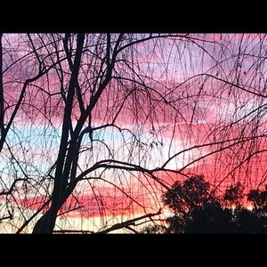 Meet your Posher, Debi